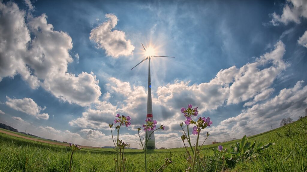 Hora del Planeta: Experto llama a seguir democratizando las energías renovables.